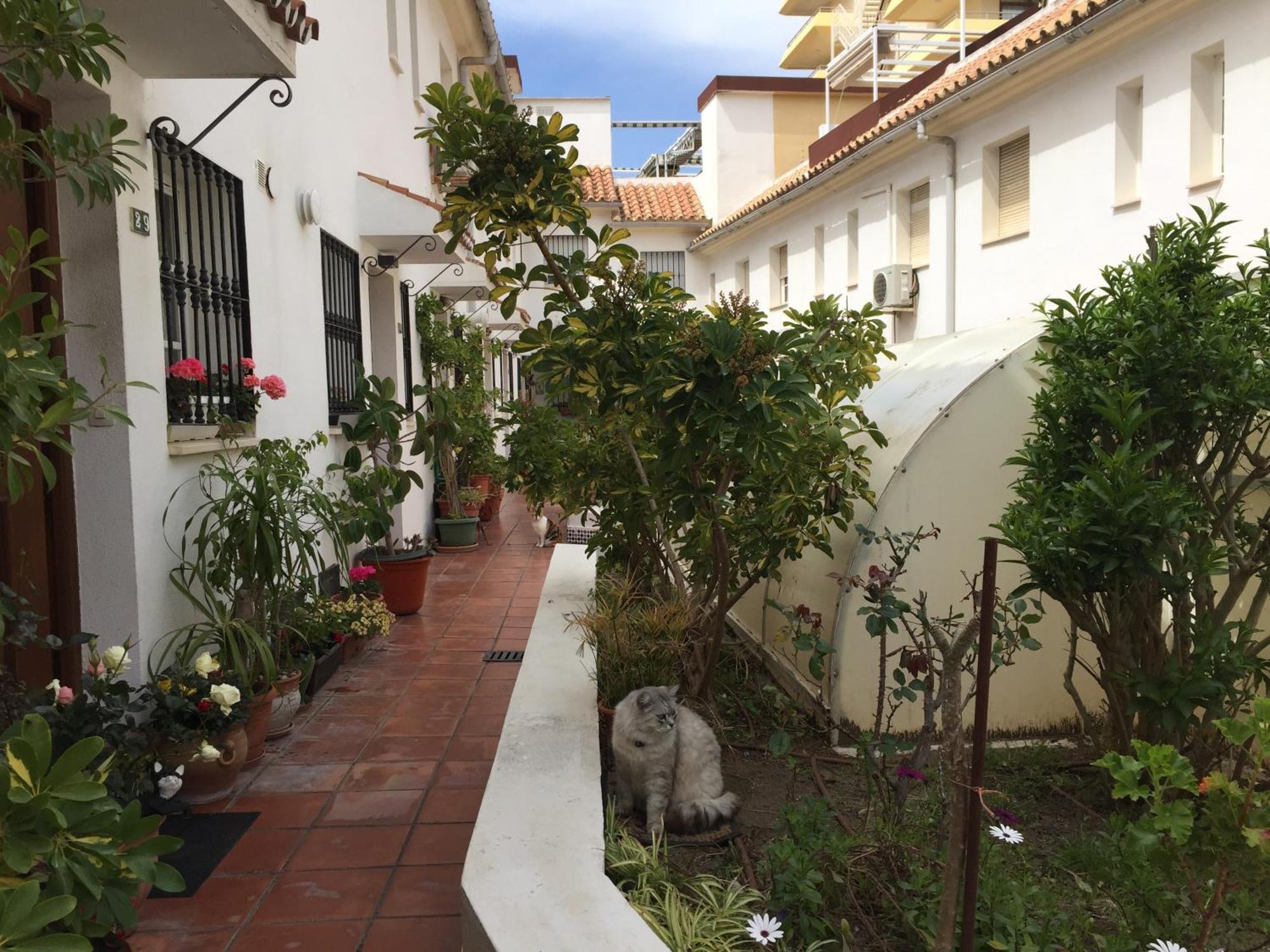 El Cortijuelo. Magnificent Triplex Terraced House With Rooftop Of 18M2, Overlooking The Sea. Parking Torremolinos Exteriér fotografie